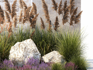 Garden Flowers Lavender Pampas Grass Miscanthus 1397 Modello 3D