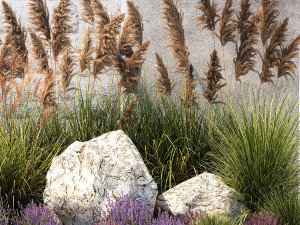 Garden Flowers Lavender Pampas Grass Miscanthus 1397 Modello 3D