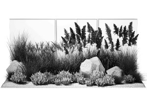 Garden Flowers Lavender Pampas Grass Miscanthus 1397 Modello 3D