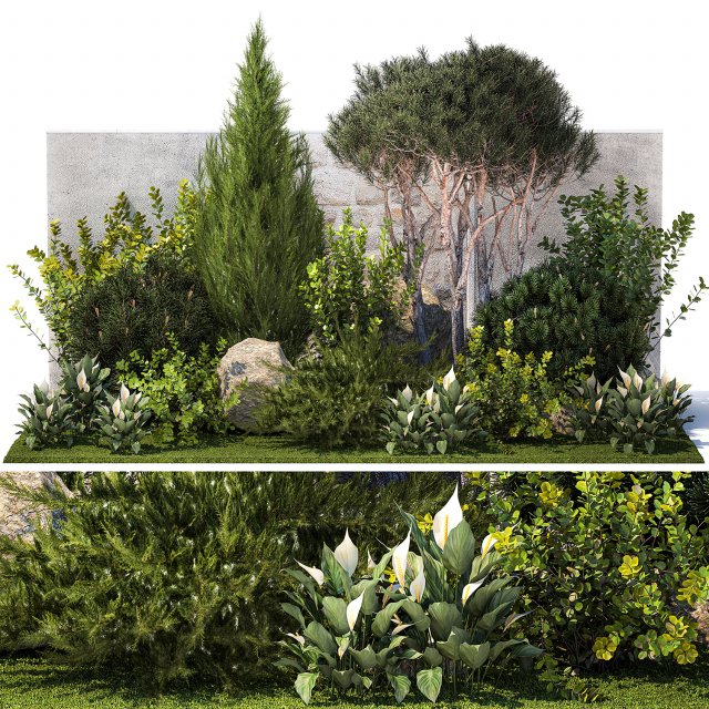 Garden cypress thuja pine topiary barberry 1397 Model 3D .c4d .max .obj .3ds .fbx .stl .blend 