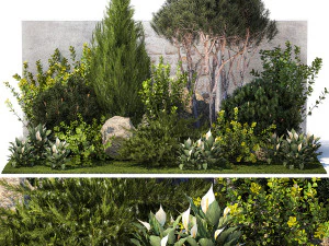 Cypr&egrave;s de jardin pin topiaire thuya &eacute;pine-vinette 1397 Modèle 3D