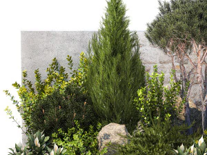 Garden cypress thuja pine topiary barberry 1397 3D Model
