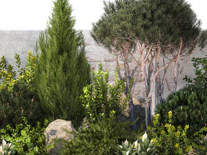 Garden cypress thuja pine topiary barberry 1397 3D Model