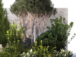 Garden cypress thuja pine topiary barberry 1397 Model 3D