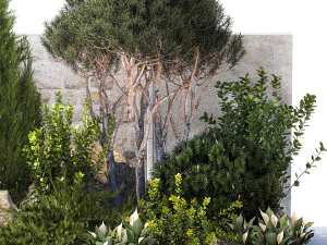 Garden cypress thuja pine topiary barberry 1397 3D Model