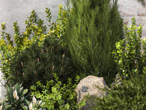 Garden cypress thuja pine topiary barberry 1397 3D Model