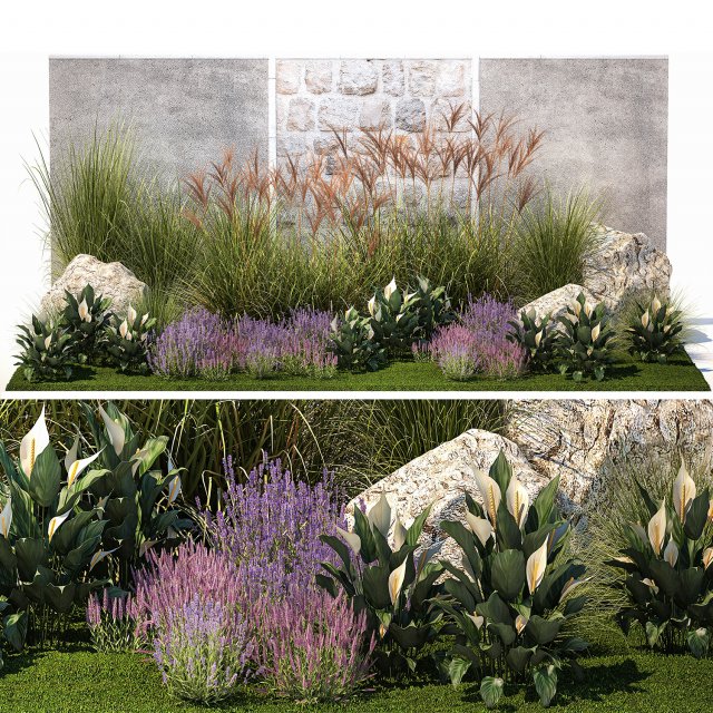 Garden with lavender bushes Spathiphyllum Miscanthus 1397 3D मॉडल .c4d .max .obj .3ds .fbx .stl .blend 