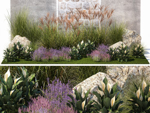Garden with lavender bushes Spathiphyllum Miscanthus 1397 3D Model