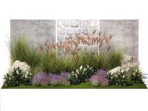 Garden with lavender bushes Spathiphyllum Miscanthus 1397 3D Model