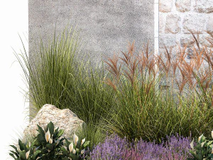 Garden with lavender bushes Spathiphyllum Miscanthus 1397 3D Model
