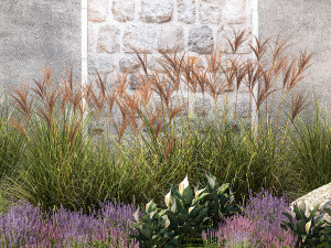 Garden with lavender bushes Spathiphyllum Miscanthus 1397 3D मॉडल