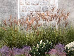 Garden with lavender bushes Spathiphyllum Miscanthus 1397 3D Model