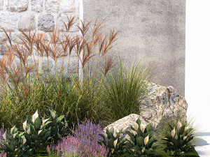 Garden with lavender bushes Spathiphyllum Miscanthus 1397 3D मॉडल