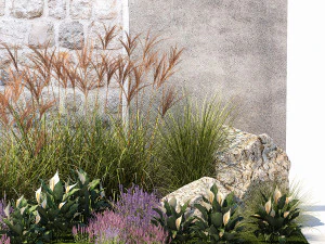 Garden with lavender bushes Spathiphyllum Miscanthus 1397 3D Model