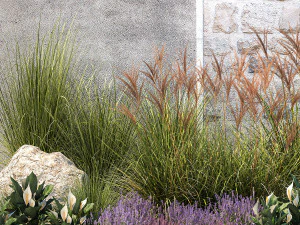Garden with lavender bushes Spathiphyllum Miscanthus 1397 3D Model