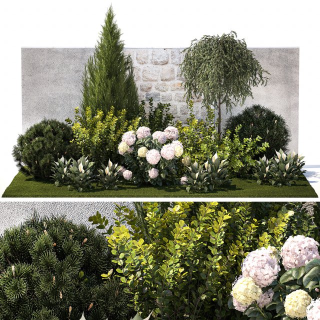 Garden Spathiphyllum Thuja Hydrangea Berberis 1399 3D Model .c4d .max .obj .3ds .fbx .stl .blend 