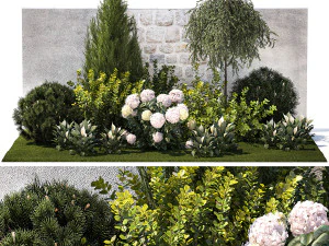 Garden Spathiphyllum Thuja Hydrangea Berberis 1399 3D Model