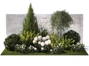 Garden Spathiphyllum Thuja Hydrangea Berberis 1399 3D Model