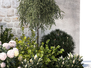 Garden Spathiphyllum Thuja Hydrangea Berberis 1399 3D Model
