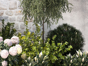 Garden Spathiphyllum Thuja Hydrangea Berberis 1399 3D Model