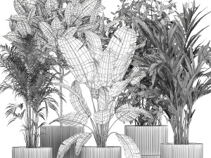 Set of plants in white pots palm ficus Strelitzia 1401 3D Model