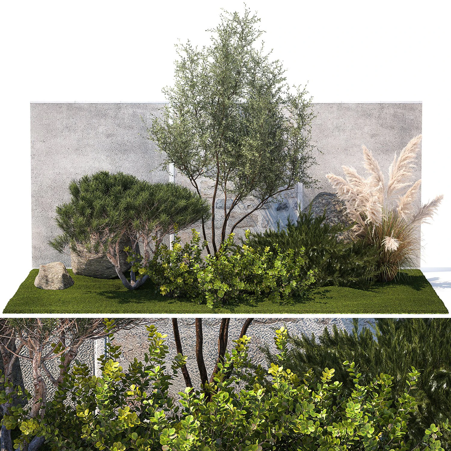 Garden Juniper Pampas Pine Topiary Berberis 1402 3D Model .c4d .max .obj .3ds .fbx .stl .blend 