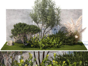 Jardin Gen&eacute;vrier Pin de la Pampa Topiaire Berberis 1402 Modèle 3D