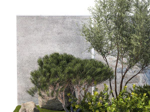 Garden Juniper Pampas Pine Topiary Berberis 1402 3D Model