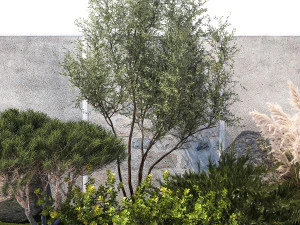 Garden Juniper Pampas Pine Topiary Berberis 1402 3D Model