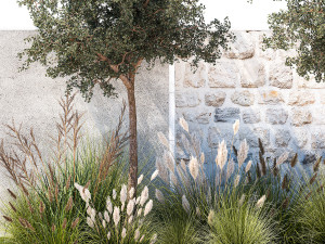 Garden With Large Trees And Feather Grass Bushes 1404 3D Модель