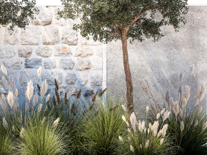 Garden With Large Trees And Feather Grass Bushes 1404 3D Модель