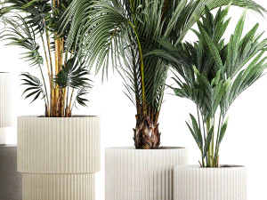 Set Of Beautiful Howea Palms In White Pots Neanthe 1408 3D Model