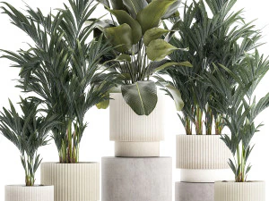 Conjunto De Pequenas Palmeiras Howea Em Vasos Brancos 1410 Modelo 3D