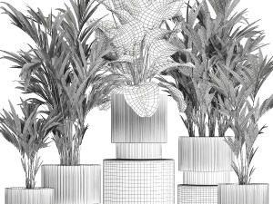 Set Of Small Howea Palms In White Pots 1410 3D मॉडल