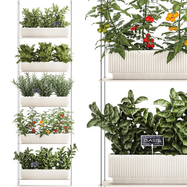 Vertical gardening kitchen garden vegetables tomatoes rosemary basil 1411 3D Model .c4d .max .obj .3ds .fbx .stl .blend 