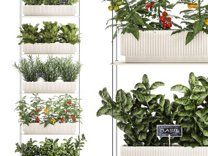 Vertical gardening kitchen garden vegetables tomatoes rosemary basil 1411 3D Model