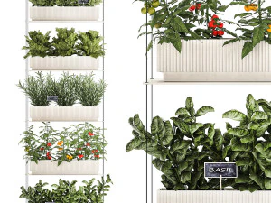 Taman Vertikal Taman Sayuran Tomat Rosemary Basil 1411 Model 3D