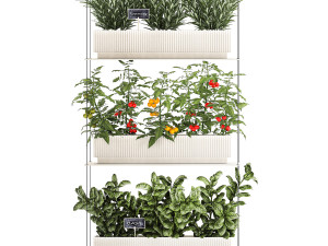Vertical gardening kitchen garden vegetables tomatoes rosemary basil 1411 3D Model