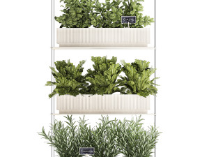 Vertical gardening kitchen garden vegetables tomatoes rosemary basil 1411 3D Model