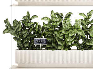 Vertical gardening kitchen garden vegetables tomatoes rosemary basil 1411 3D Model
