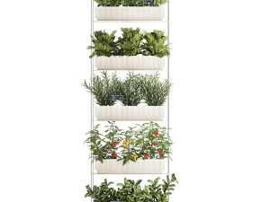 Vertical gardening kitchen garden vegetables tomatoes rosemary basil 1411 3D Model