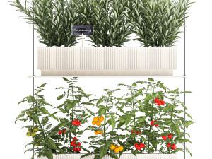 Vertical gardening kitchen garden vegetables tomatoes rosemary basil 1411 3D Model