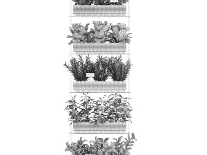 Vertical gardening kitchen garden vegetables tomatoes rosemary basil 1411 3D Model