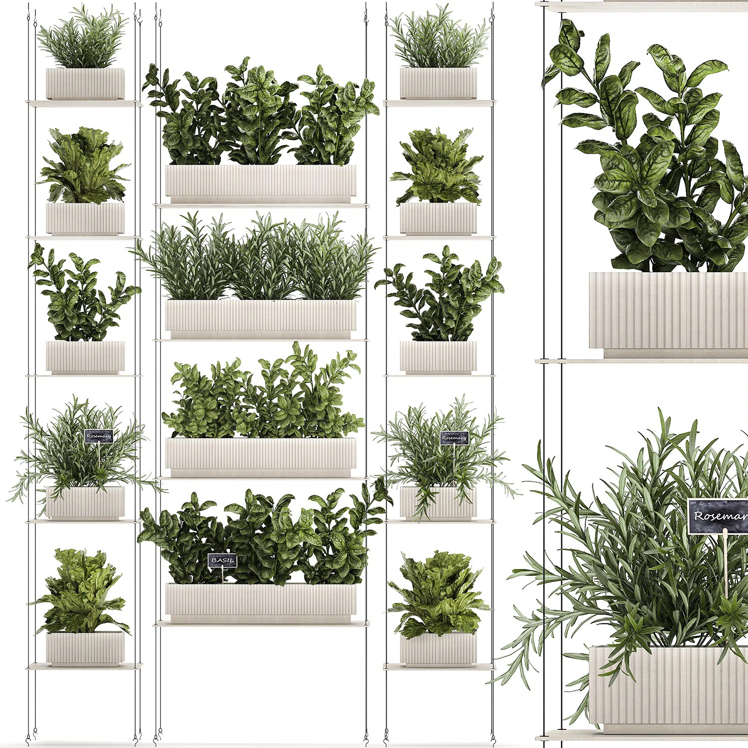 Kitchen mini vegetable garden set Basil Lettuce Rosemary 1412 3D Model .c4d .max .obj .3ds .fbx .stl .blend 