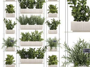 Kitchen mini vegetable garden set Basil Lettuce Rosemary 1412 Modèle 3D