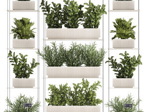 Kitchen mini vegetable garden set Basil Lettuce Rosemary 1412 Modello 3D