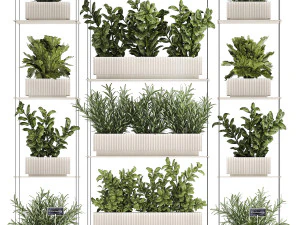 Kitchen mini vegetable garden set Basil Lettuce Rosemary 1412 3D Model