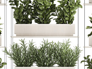 Kitchen mini vegetable garden set Basil Lettuce Rosemary 1412 Modello 3D