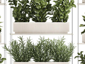 Kitchen mini vegetable garden set Basil Lettuce Rosemary 1412 3D Model