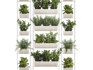 Kitchen mini vegetable garden set Basil Lettuce Rosemary 1412 Modello 3D